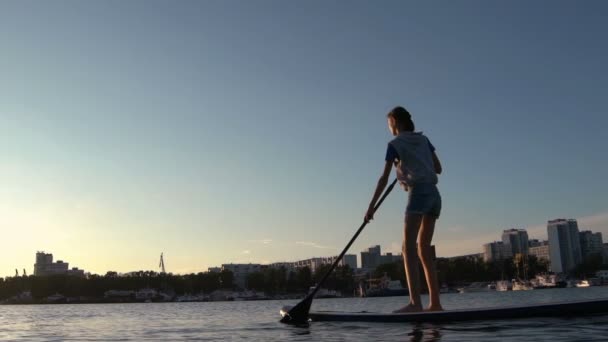 Mulher bonita em Stand Up Paddle Board. SUP . — Vídeo de Stock