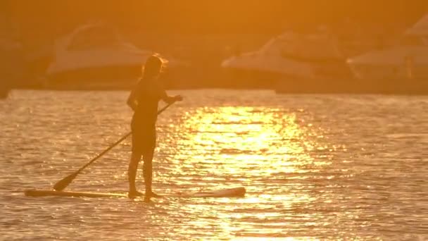 Mulher bonita em Stand Up Paddle Board. SUP . — Vídeo de Stock