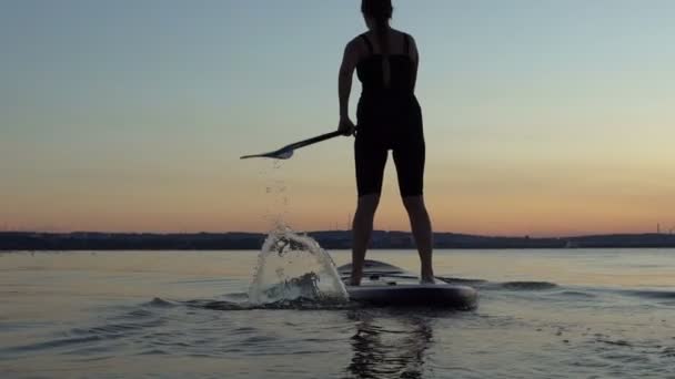 Mulher bonita em Stand Up Paddle Board. SUP . — Vídeo de Stock