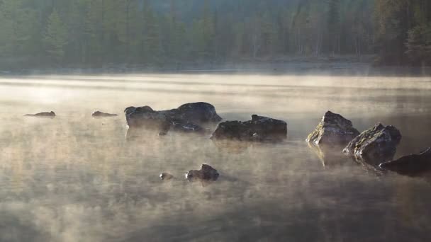 Το πρωί στη λίμνη και ομίχλη μετά την Ανατολή — Αρχείο Βίντεο