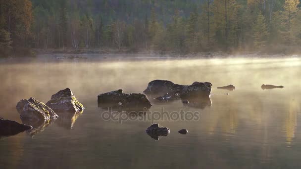 Rano jeziora i mgła po wschodzie słońca — Wideo stockowe