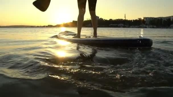 Mulher bonita em Stand Up Paddle Board. SUP . — Vídeo de Stock