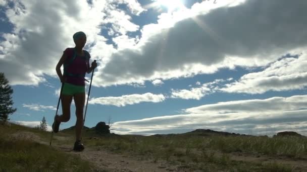 Jovem ativa feminina correr ao ar livre no verão ensolarado . — Vídeo de Stock