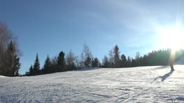 Lyžař svahu na slunný zimní den — Stock video