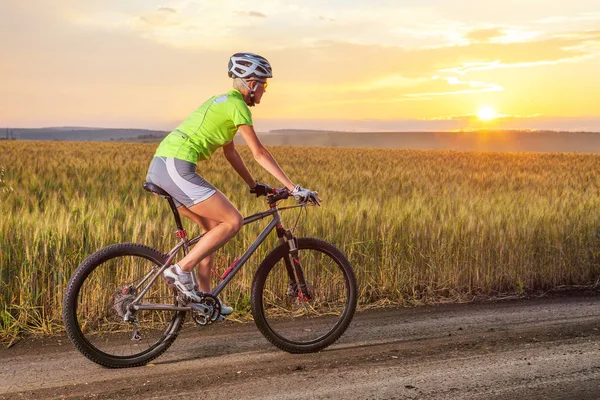 骑自行车的人骑马农村公路反对日落 图库图片