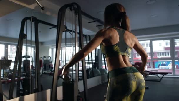 Menina desportiva mostrando seu corpo bem treinado e levantando halteres  . — Vídeo de Stock