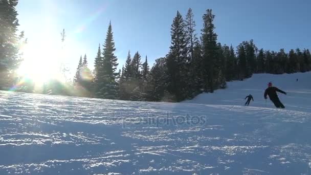Два лыжника катаются на лыжах в зимний день — стоковое видео