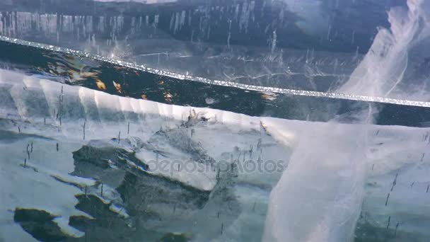 Bajkał Syberii — Wideo stockowe