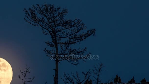 Temps de nuit lapse Grande pleine lune brillante se lève d'au-dessus de la colline dans le ciel .