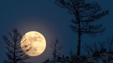 Gece zaman atlamalı büyük tam parlak ay hill in üstünden göğe yükselir..