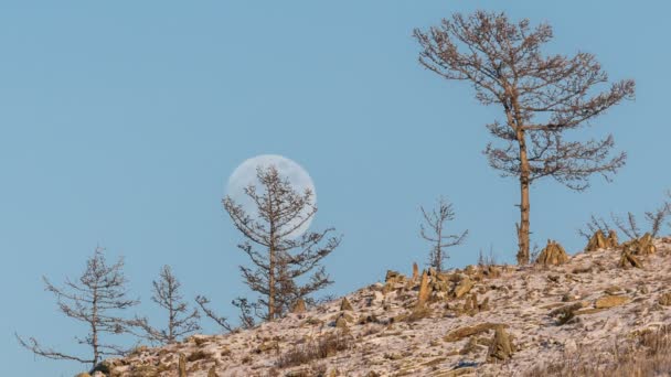 Night Time lapse Large full bright moon rises from above hill into sky. — Stock Video