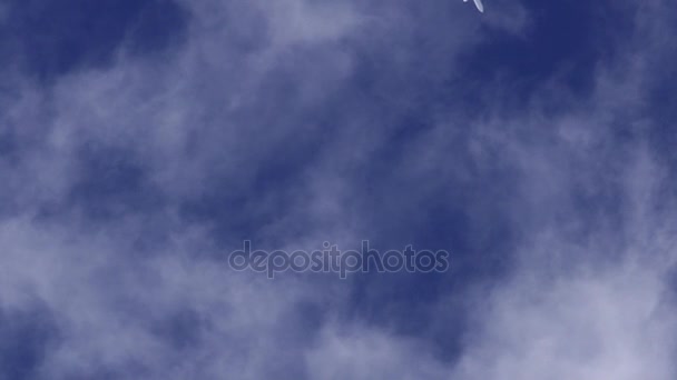 飞机喷射层，白色跟踪蒸汽在天 — 图库视频影像