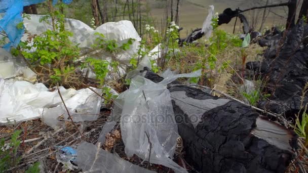 Vertedero en el bosque, contaminación ambiental, bosque, árboles . — Vídeo de stock