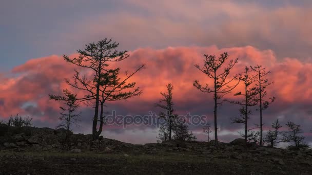 Sunrise time lapse of red clouds and trees — Stock Video