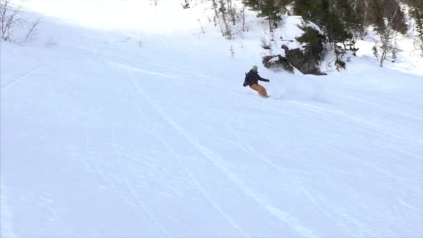 Snowboarder snijwerk in poeder — Stockvideo