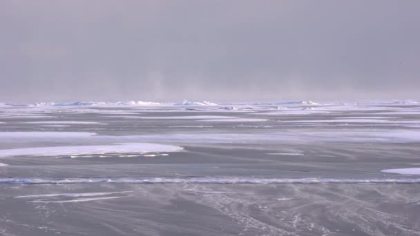 Θύελλα χιονιού σε παγωμένη λίμνη Βαϊκάλη — Αρχείο Βίντεο