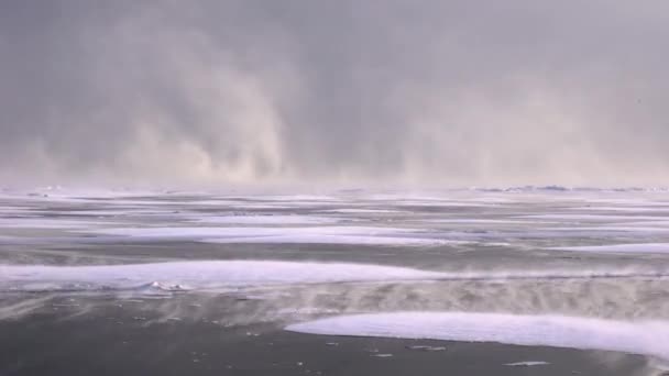 Sneeuwstorm op bevroren Baikalmeer — Stockvideo