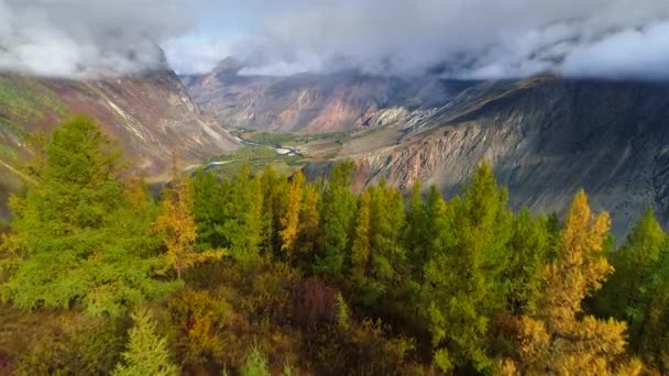 空中映像。谷、山、川を便します。アルタイのキャニオン — ストック動画