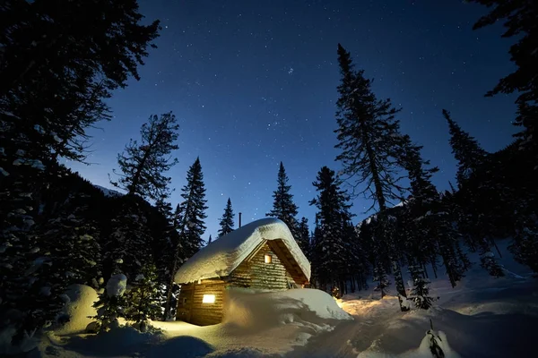 Piccolo cottage in una bellissima foresta di neve durante la notte di luna — Foto Stock