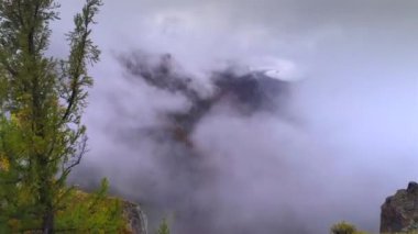 bir bulutlu dağ vadinin havadan görüntüleri. nehir uzaktan