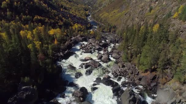 空中飛行に蒸気で荒れ狂う川と秋の森の中の滝や渓谷 — ストック動画