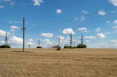 Yüksek voltajlı elektrik hatları ve yazları palyaçolarla mavi gökyüzünün altında buğday tarlasında kuleler.