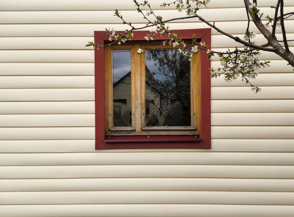 Окно Дома Боковом Фоне Цветущей Сакурой — стоковое фото