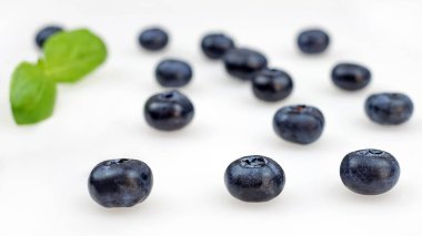 Bulanık mavi böğürtlen çözeltisi beyaz sırt gradında