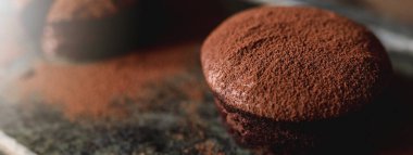 Çikolatalı tatlının yatay pankartı. Yumuşak kalpli kek, pralin ve toz kakao ile eritilmiş sabun taşı.