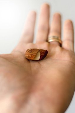 Erkek eli kabuklu badem fıstığının yakın çekimi..