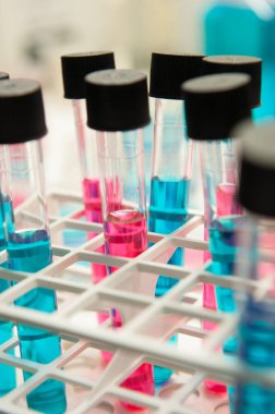 Virüs ve bakteri boruları için laboratuvar testleri