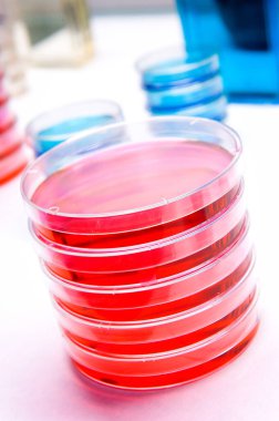 Laboratuvarda virüsü analiz eden bilim adamı. Elindeki 19 kan ve kimyasal reaksiyon tüpü. Coronavirüs aşısı araştırması. 