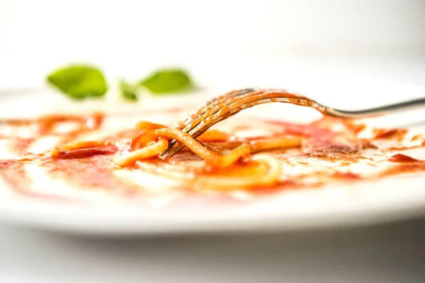 italy. dirty dish of spaghetti sauce with tomato and basil