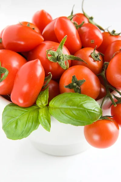 Muchos Diferentes Tomates Albahaca Comida Vegetariana Dieta Composición Creativa Tomate — Foto de Stock