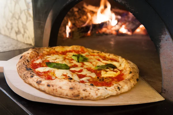 Robię Włoską Pizzę Margherity Pizza Wróciła Piekarnika — Zdjęcie stockowe