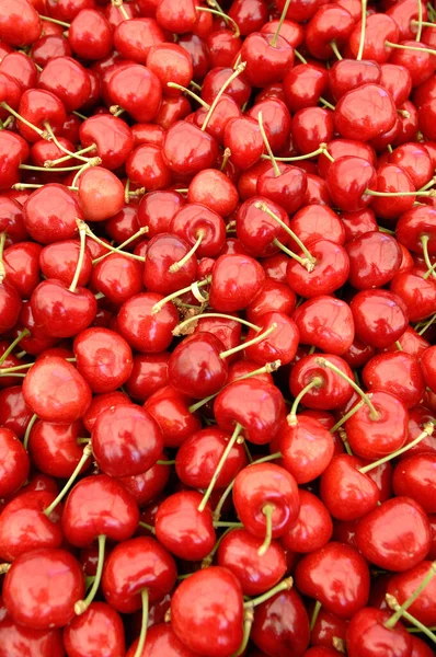 Box Red Cherry Ciliegia Ciliegia Vignola Emilia Romagna Diet Albero — стокове фото