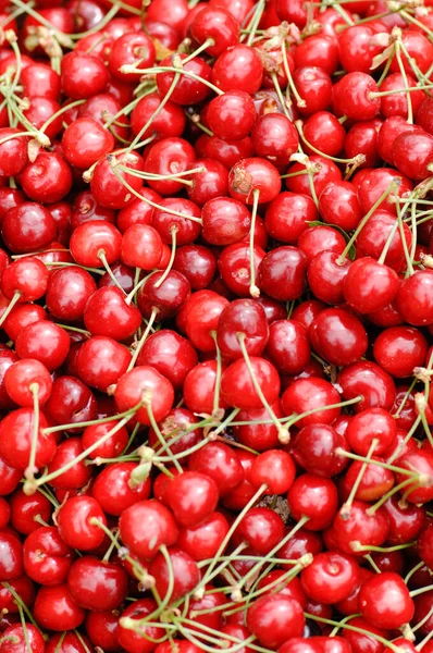 Red Cherry Ciliegia Ciliegia Lari Toscana Diet Albero Ciliegie Texture — Stock Photo, Image