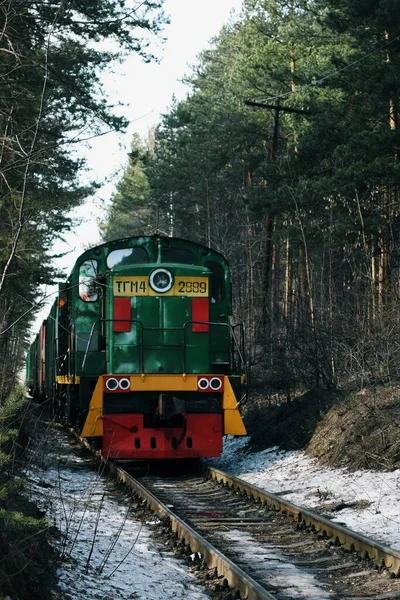 Tren ormanın içinden geçiyor.