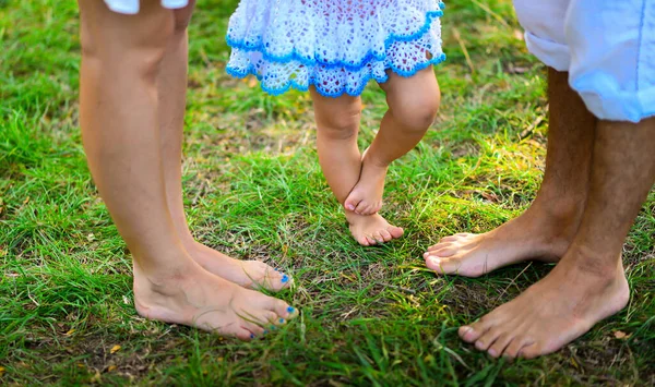 Familia descalza sin zapatos en la hierba verde en verano verano, primavera Imagen de stock