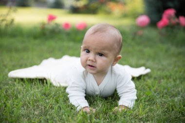 Bebek kız pembe çiçekli çimenlerin üzerinde tarama