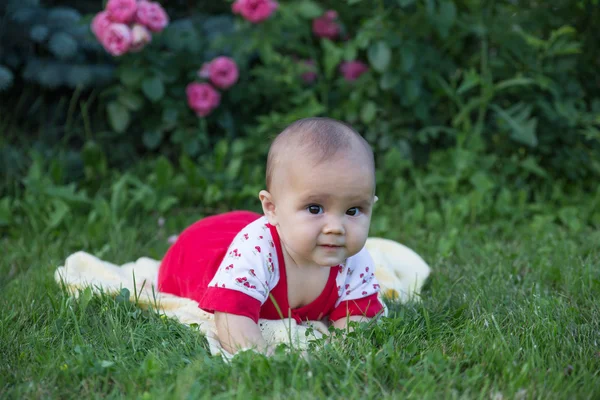 Baby Mädchen kriecht auf dem Gras mit rosa Blumen — Stockfoto