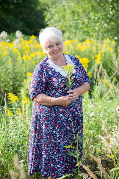 Abuela mayor al aire libre — Foto de Stock