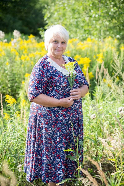 Abuela mayor al aire libre — Foto de Stock