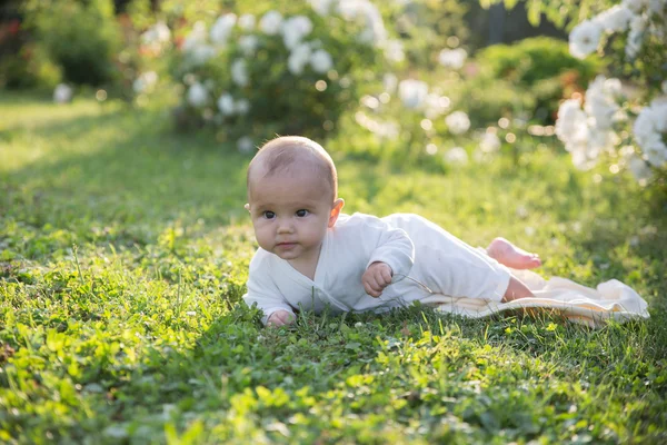 Bebé niña arrastrándose sobre la hierba con flores blancas Fotos de stock libres de derechos