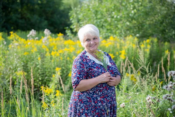 Senior grandmother outdoor Stock Image