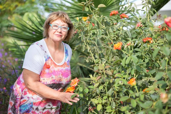 Senior lady with her plants in the garden — Stock Photo, Image