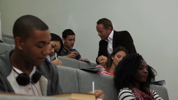 Studenten met de leraar tijdens de les — Stockvideo