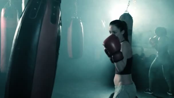 Group of Boxers Training in a Group — Stock Video