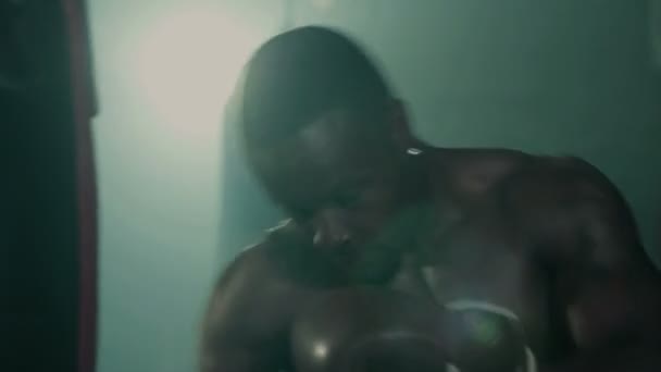 Boxer formazione maschile — Video Stock