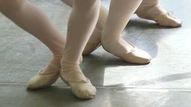 Danseurs de ballet pratiquant sur la barre de ballet — Video